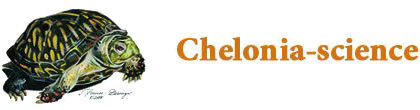 Chelonia science