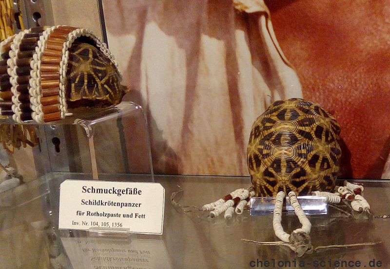 Schmuck und Kulturgegenstände aus Schildkröten – © Hans-Jürgen Bidmon Schmuck und Kulturgegenstände aus Schildkröten – © Hans-Jürgen Bidmon