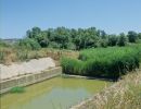 Habitat der Mittelländischen Sumpfschildkröte, Emys orbicularis galloitalica, Fundort: Calabria, Italy – © Victor Loehr