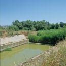 Habitat der Mittelländischen Sumpfschildkröte, Emys orbicularis galloitalica, Fundort: Calabria, Italy – © Victor Loehr