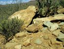 Boulengers Flachschildkröte, Homopus boulengeri, im Habitat, Fundort: Northern Cape, South Africa – © Victor Loehr