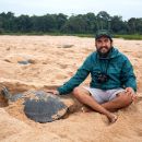 Arrauschildkröte, Podocnemis expansa, am Niststrand – © Fábio A. G. Cunha